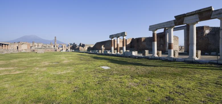 SHORE EXCURSIONS - Pompeii - Wine tasting